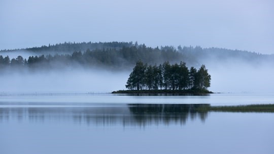 Joulurauhan julistus 2 Sumuinen järvi ja saari
