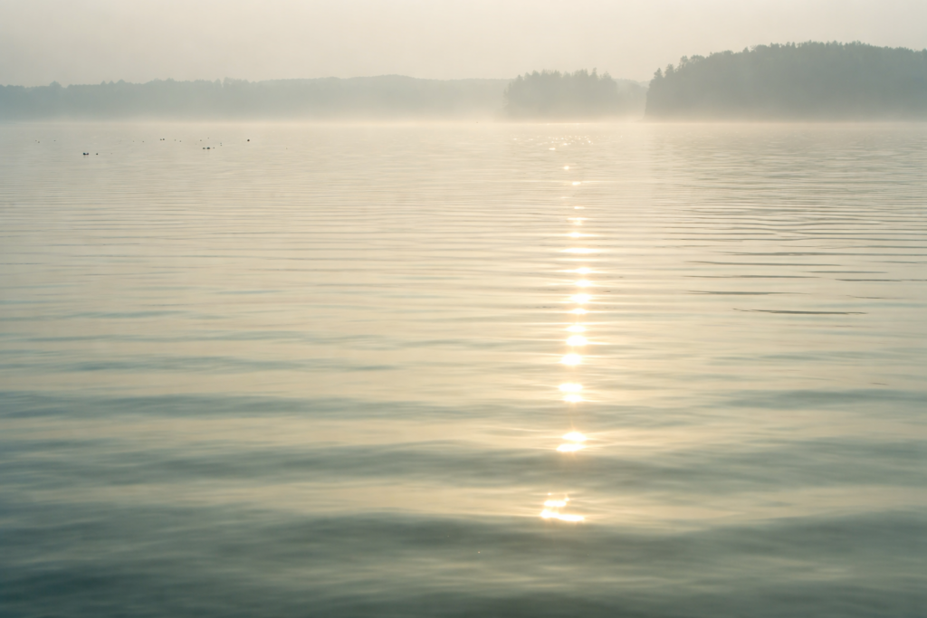 Kirjeitä veden äärellä-I Ranta 1 Lähikuva veden pinnasta varhaisessa aamussa,pehmeää valoa ja hienovaraista liikettä