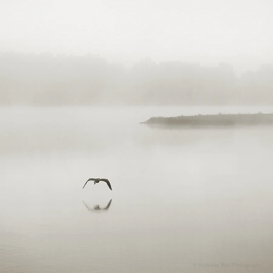 Lähes liikkumaton järven pinta sumun peitossa,hiljainen ja tyyni tunnelma