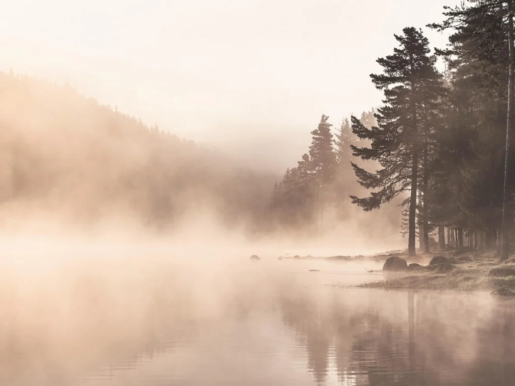 Kirjeitä veden äärellä-I Ranta 1 Sumu leviää järven rannalla ja peittää maiseman pehmeästi