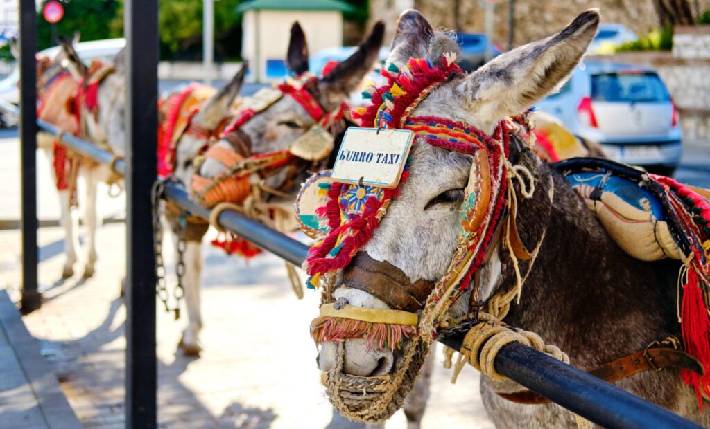 Mijas Pueblo matkailu-täydellinen opas 5 aasi taksi e1772708626230