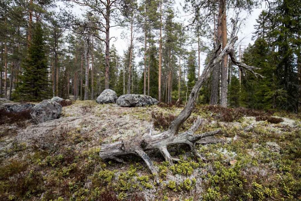 Kuhmo matkailu 15 Kuhmo matkailukohteena II