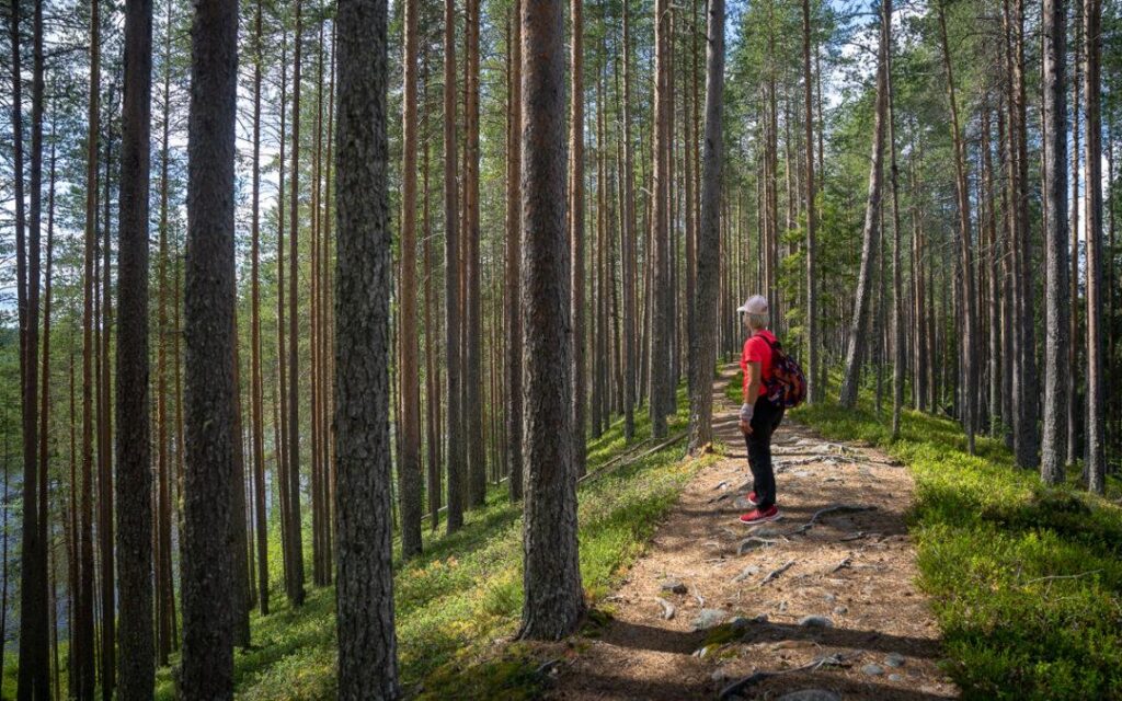Kuhmo matkailu-täydellinen lomaopas 12 harju