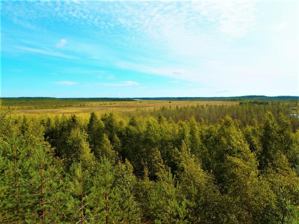 Kuhmo matkailu 4 kuhmo III