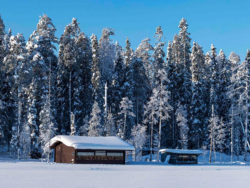 Kuhmo matkailu-täydellinen lomaopas 8 lumimaisema